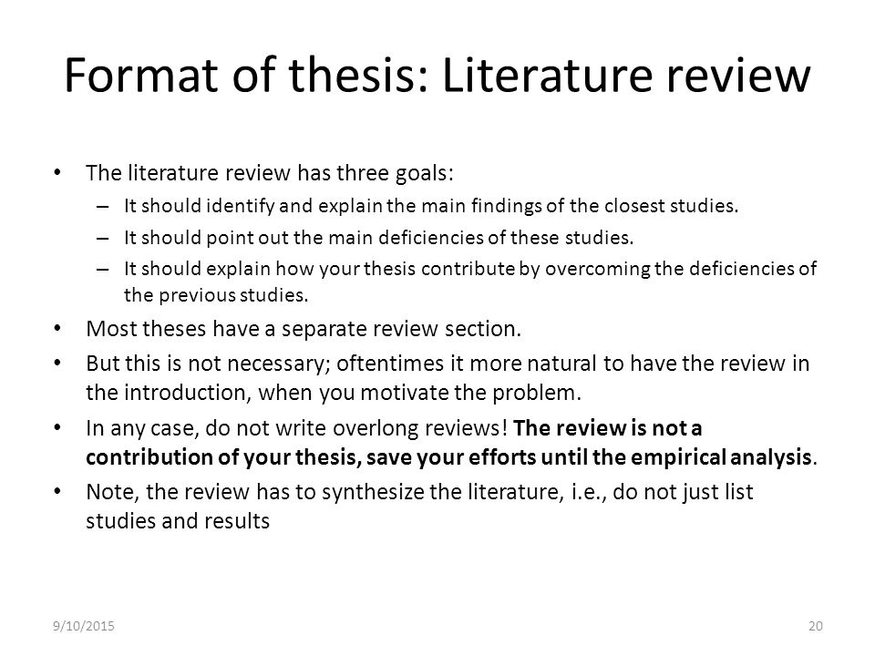 literature review example for a master thesis